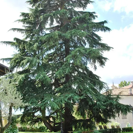 Hotel Villa Beccaris Hotel 4*