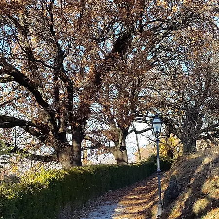 Beccaris Monforte D'Alba