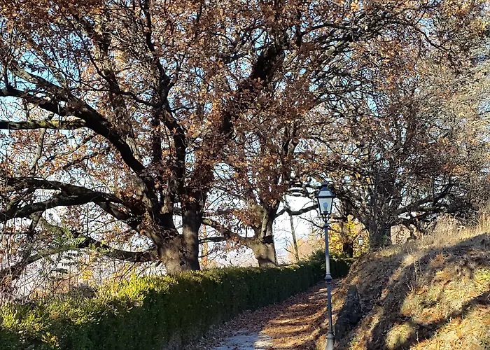 Beccaris Monforte dʼAlba